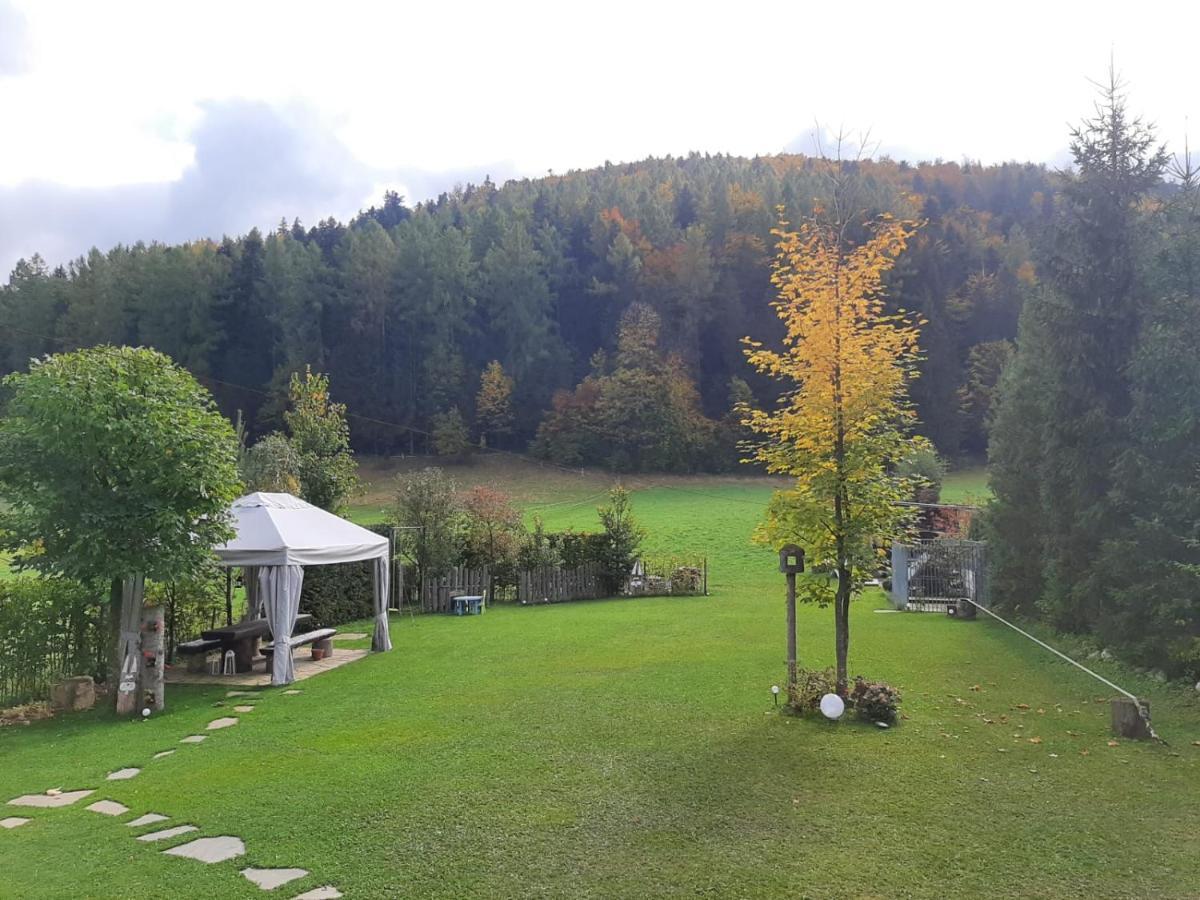 Noclegi Przy Lesie — Photos 2
