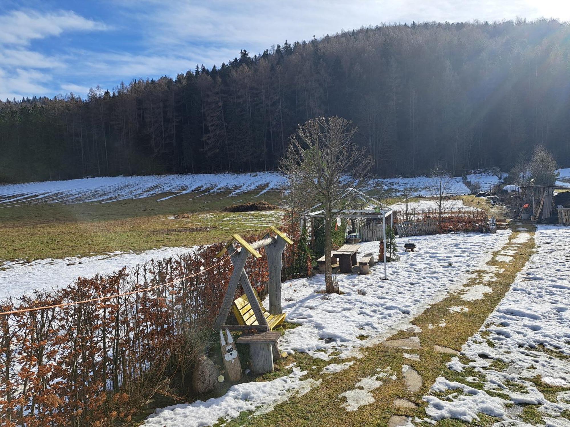 Noclegi Przy Lesie — Photos 1
